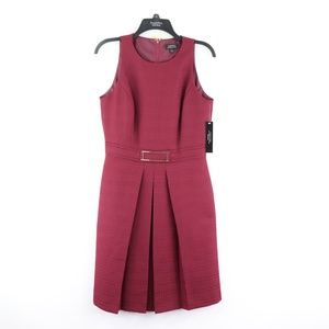 Gorgeous Brand New dark Red Tahari Dress